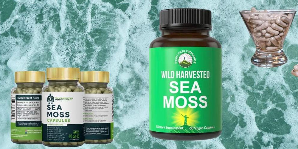 An Excellent Food Supplement Sea Moss